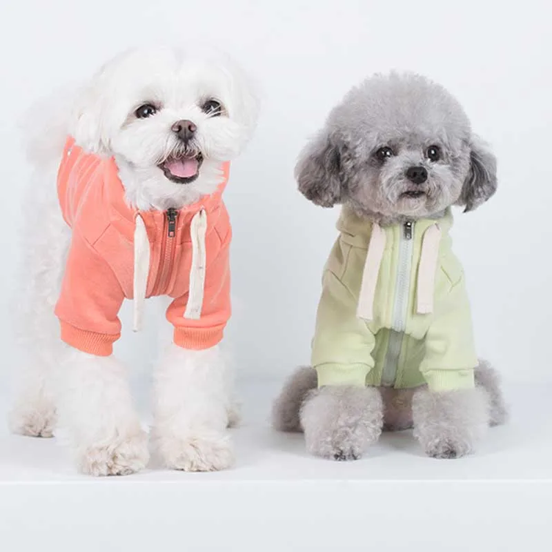 Dog Hoodie Winter Cat Puppy Dog Clothes Coat Outfit Garment Maltese Yorkshire Spitz Poodle Pomeranian Bichon Terrier Clothing
Dog Hoodie Winter Cat Puppy Dog Clothes Coat Outfit Garment Maltese Yorkshire Spitz Poodle Pomeranian Bichon Terrier Clothing