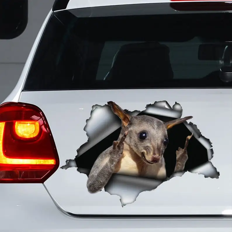 Possum car decal, Possum magnet, Possum sticker, Possum decal 
Possum car decal, Possum magnet, Possum sticker, Possum decal