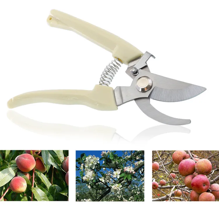 Gardening Scissors Tree Branches Scissors Reduction Pruning Garden Shear Carbon Steel Labor-saving Multifunctional Garden Tools
Gardening Scissors Tree Branches Scissors Reduction Pruning Garden Shear Carbon Steel Labor-saving Multifunctional Garden Tools