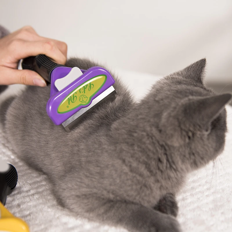 Pet Hair Shedding Tool for Dogs and Cats Shedding Dog Grooming Tool Effectively Reduces Shedding by UP to 95% Deshedding Brush
Pet Hair Shedding Tool for Dogs and Cats Shedding Dog Grooming Tool Effectively Reduces Shedding by UP to 95% Deshedding Brush