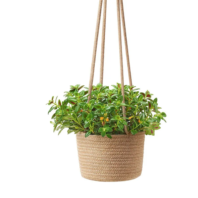 Garden Hanging Planter Macrame Plant Storage Basket Jute Rope Woven Indoor Outdoor Flower Pot Holder Plant Hangers Home Decor
Garden Hanging Planter Macrame Plant Storage Basket Jute Rope Woven Indoor Outdoor Flower Pot Holder Plant Hangers Home Decor