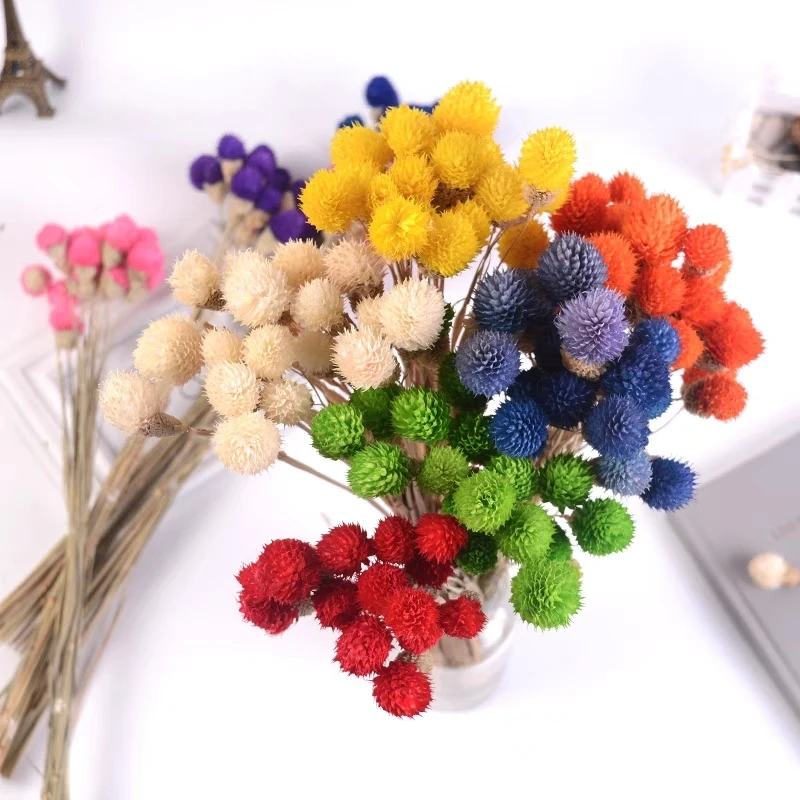 10Pcs Colorful Natural Dried Berry Flowers Bouquet Vase Floral Arrangement DIY Material Home Living Room Decoration
10Pcs Colorful Natural Dried Berry Flowers Bouquet Vase Floral Arrangement DIY Material Home Living Room Decoration
