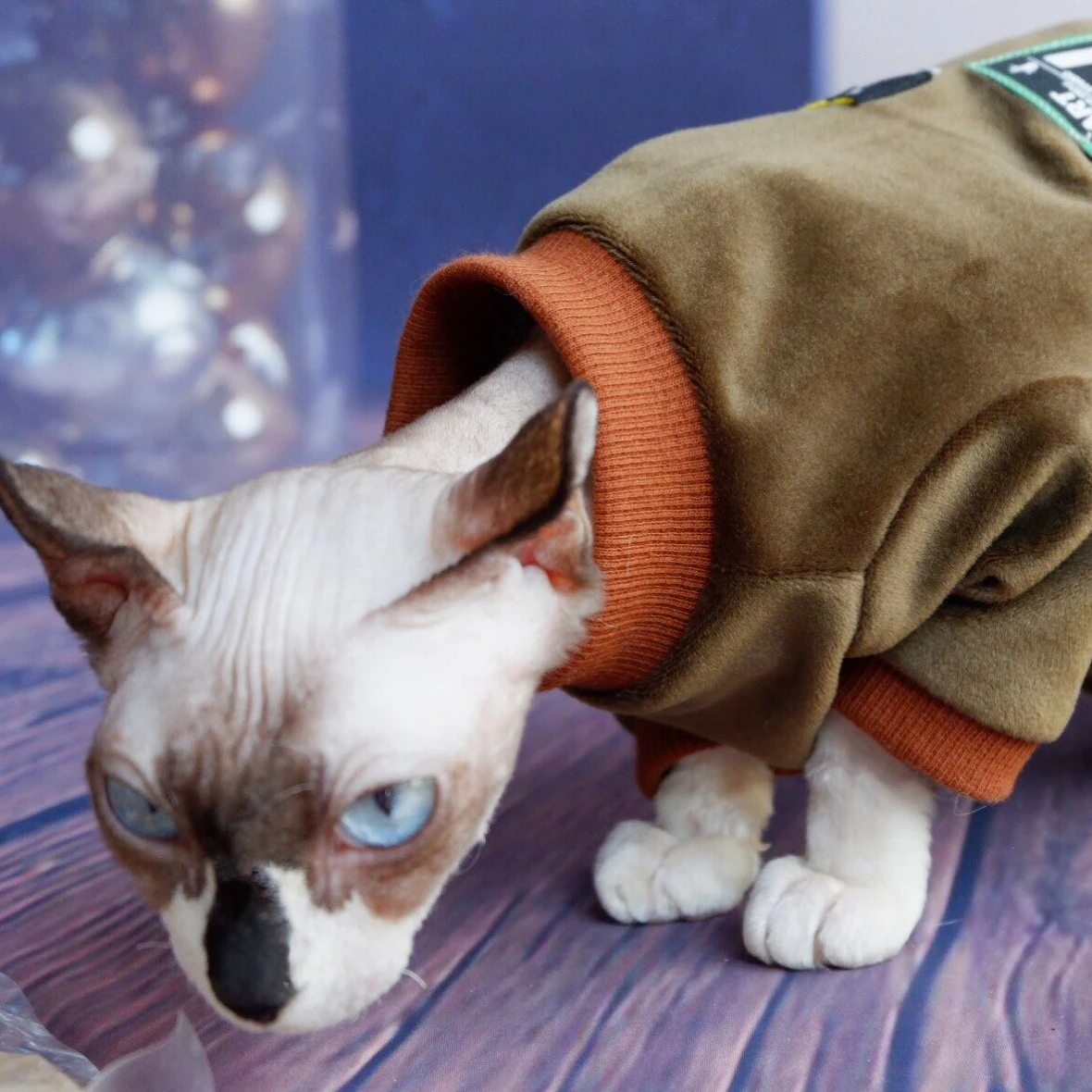 Sphynx Cat Clothes Smooth Mink Fur Warm Autumn Winter Coat Cat Sweater Costumes Clothing for Sphinx Devon Rex Hairless Cats
Sphynx Cat Clothes Smooth Mink Fur Warm Autumn Winter Coat Cat Sweater Costumes Clothing for Sphinx Devon Rex Hairless Cats