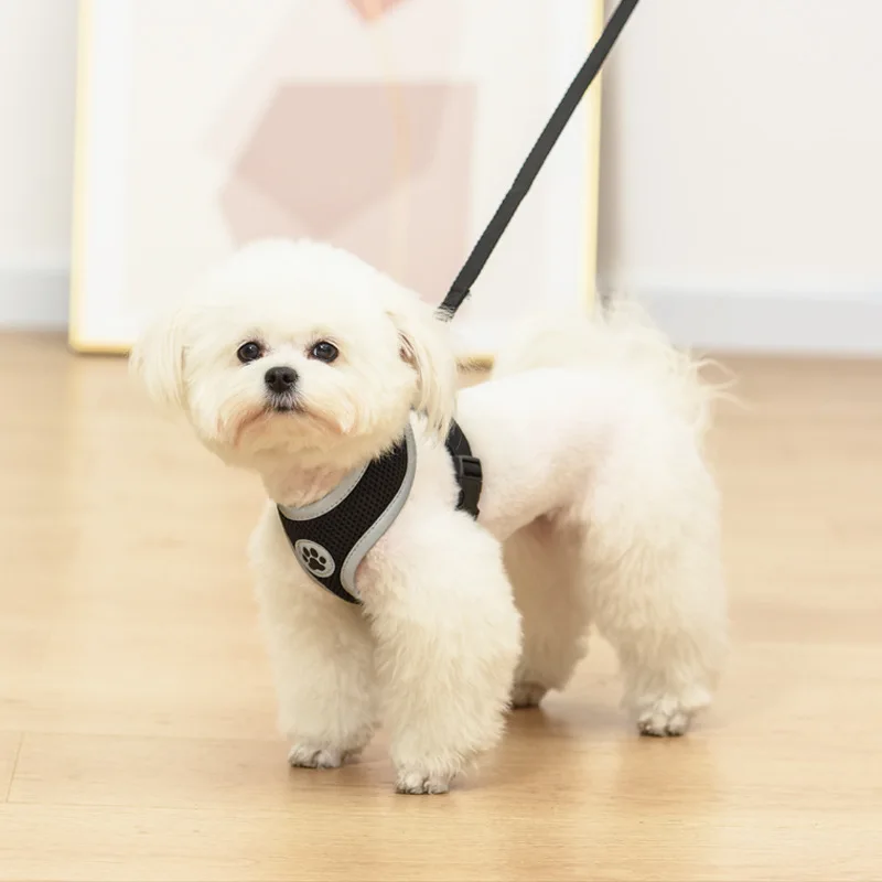 Small Dog Harness and Leash Set Reflective Nylon Pet Kitten Yorkie Collar for Chihuahua Walking Lead Leash Pets Acessorios
Small Dog Harness and Leash Set Reflective Nylon Pet Kitten Yorkie Collar for Chihuahua Walking Lead Leash Pets Acessorios