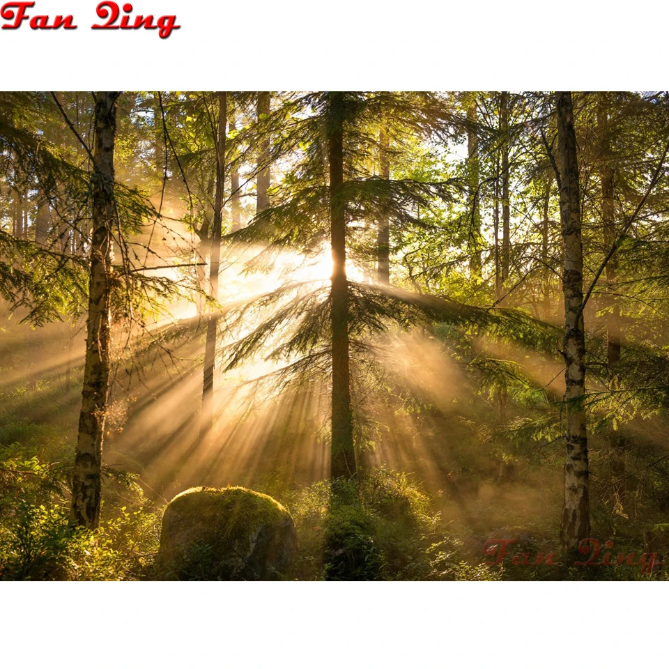 Diy 5D Diamond Painting Forest Sunrise Green Trees Full Square Diamond Mosaic Diamond Embroidery Scenery Patterns Rhinestone
Diy 5D Diamond Painting Forest Sunrise Green Trees Full Square Diamond Mosaic Diamond Embroidery Scenery Patterns Rhinestone