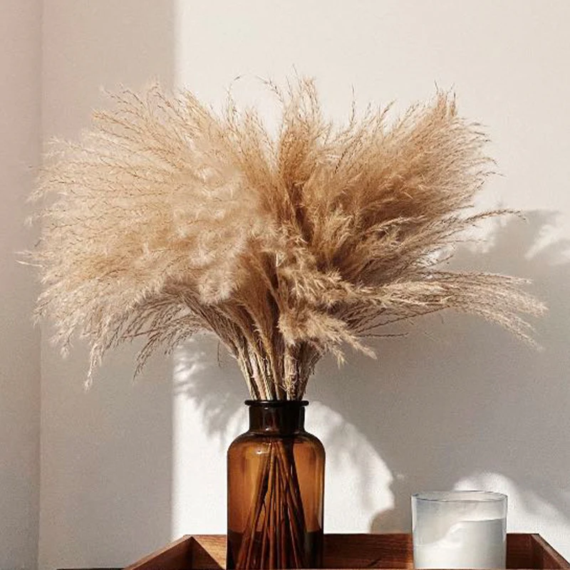 Fluffy Fall Decor Wedding Decor Flower Bunch Small Pampas Grass Home Decor Real Pampas Grass Reed Natural Plant Ornaments
Fluffy Fall Decor Wedding Decor Flower Bunch Small Pampas Grass Home Decor Real Pampas Grass Reed Natural Plant Ornaments