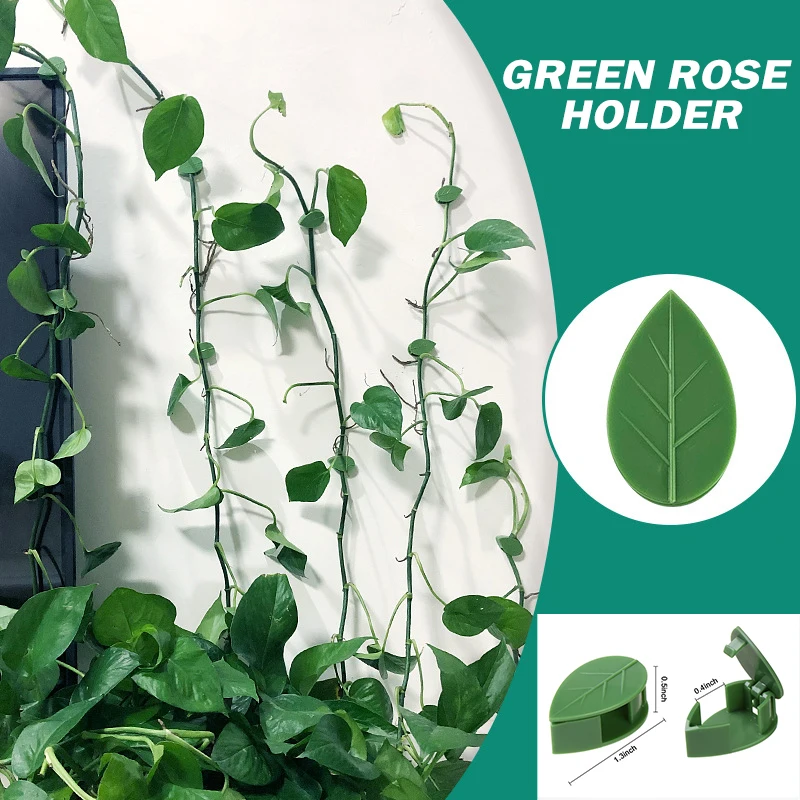 10/20/30 PCS Plant Climbing Wall Fixing Clips Fixed Buckle Leaf Clips Green Leaf Simulation for Garden Wall Green Stock
10/20/30 PCS Plant Climbing Wall Fixing Clips Fixed Buckle Leaf Clips Green Leaf Simulation for Garden Wall Green Stock