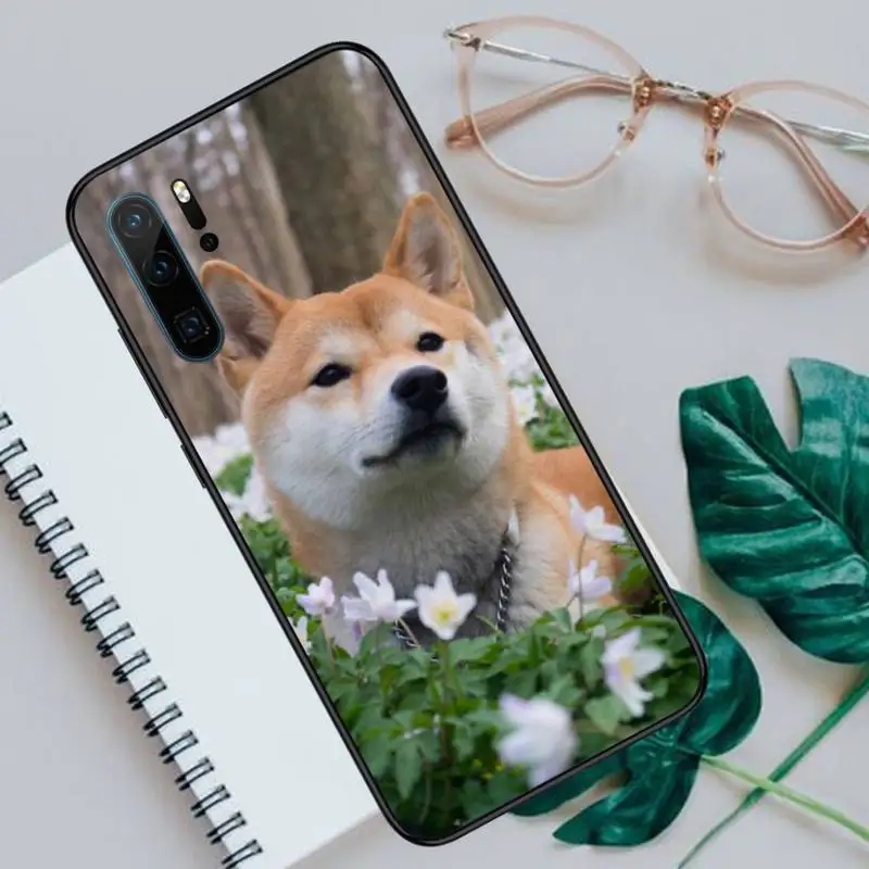 shiba inu cute dog Phone Case For Huawei honor Mate P 10 20 30 40 Pro 10i 9 10 20 8 x Lite Luxury brand shell funda coque
shiba inu cute dog Phone Case For Huawei honor Mate P 10 20 30 40 Pro 10i 9 10 20 8 x Lite Luxury brand shell funda coque