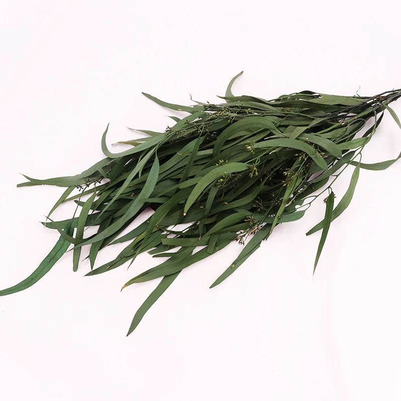 Natural Eucalyptus Leaf Dried Flowers Bouquet Wedding Party Home Decoration DIY Craft Scrapbook Immortal Plants Millet Flores
Natural Eucalyptus Leaf Dried Flowers Bouquet Wedding Party Home Decoration DIY Craft Scrapbook Immortal Plants Millet Flores