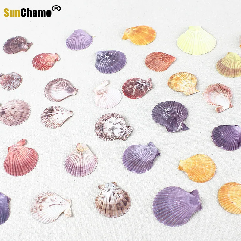 10pcs/Lot Mediterranean Style Colorful Shell Conch Craft Raw Material Dongfeng Shell Handmade Marine DIY Home Decor Color Random
10pcs/Lot Mediterranean Style Colorful Shell Conch Craft Raw Material Dongfeng Shell Handmade Marine DIY Home Decor Color Random