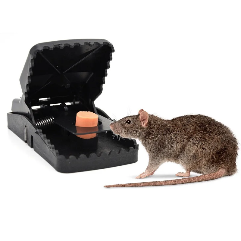 1/3/5Pcs Reusable Powerful Rodent Killer Mouse Trap Mole Repeller Mice Rat Trap Control Mousetrap Bait Pest Catching
1/3/5Pcs Reusable Powerful Rodent Killer Mouse Trap Mole Repeller Mice Rat Trap Control Mousetrap Bait Pest Catching