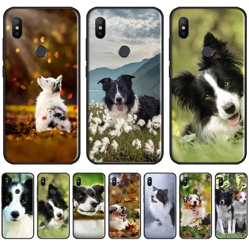 Border Collie Dog Breed Phone Case For Xiaomi Redmi 7 9t 9se k20 mi8 max3 lite 9 note 8 9s 10 pro cover shell 
Border Collie Dog Breed Phone Case For Xiaomi Redmi 7 9t 9se k20 mi8 max3 lite 9 note 8 9s 10 pro cover shell