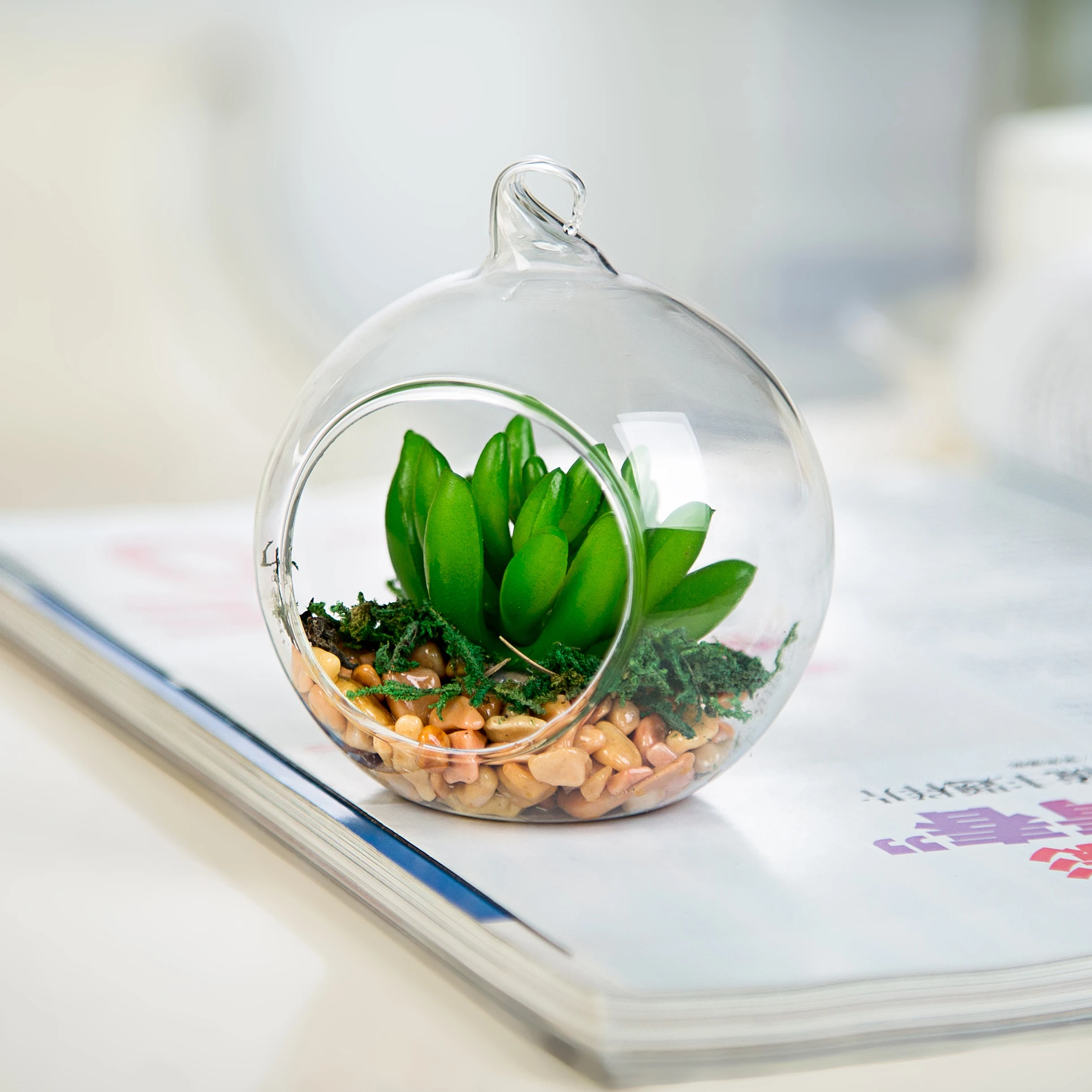 8pcs/pack Diameter=15cm Glass Terrarium Vase Home Decoration DIY Micro Landscape Round Shaped Candle Holder Friend Gift
8pcs/pack Diameter=15cm Glass Terrarium Vase Home Decoration DIY Micro Landscape Round Shaped Candle Holder Friend Gift