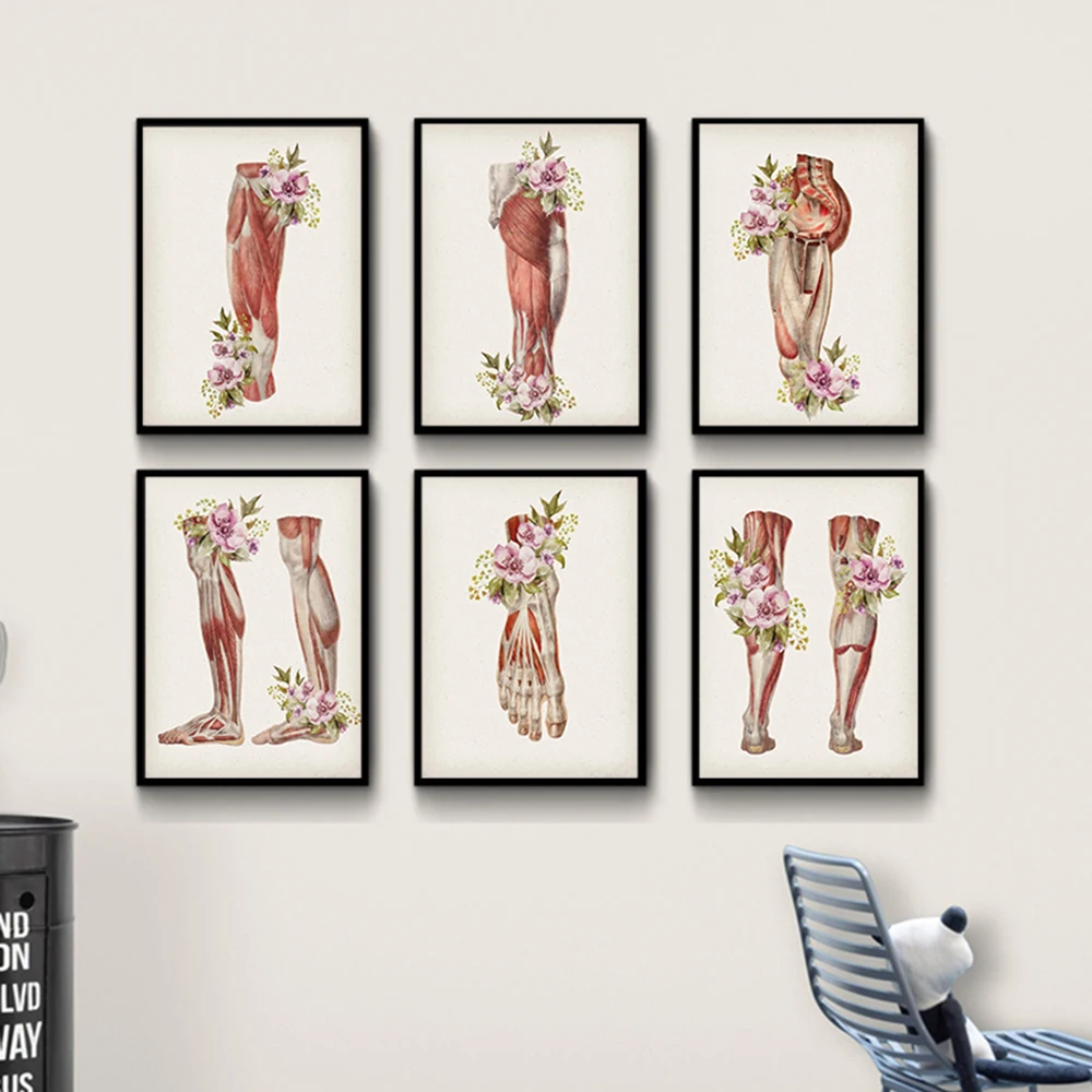 Vintage Anatomy Leg Muscle Foot Flowers Nordic Poster Still Life Wall Art Canvas Painting Wall Pictures For Living Room Unframed
Vintage Anatomy Leg Muscle Foot Flowers Nordic Poster Still Life Wall Art Canvas Painting Wall Pictures For Living Room Unframed
