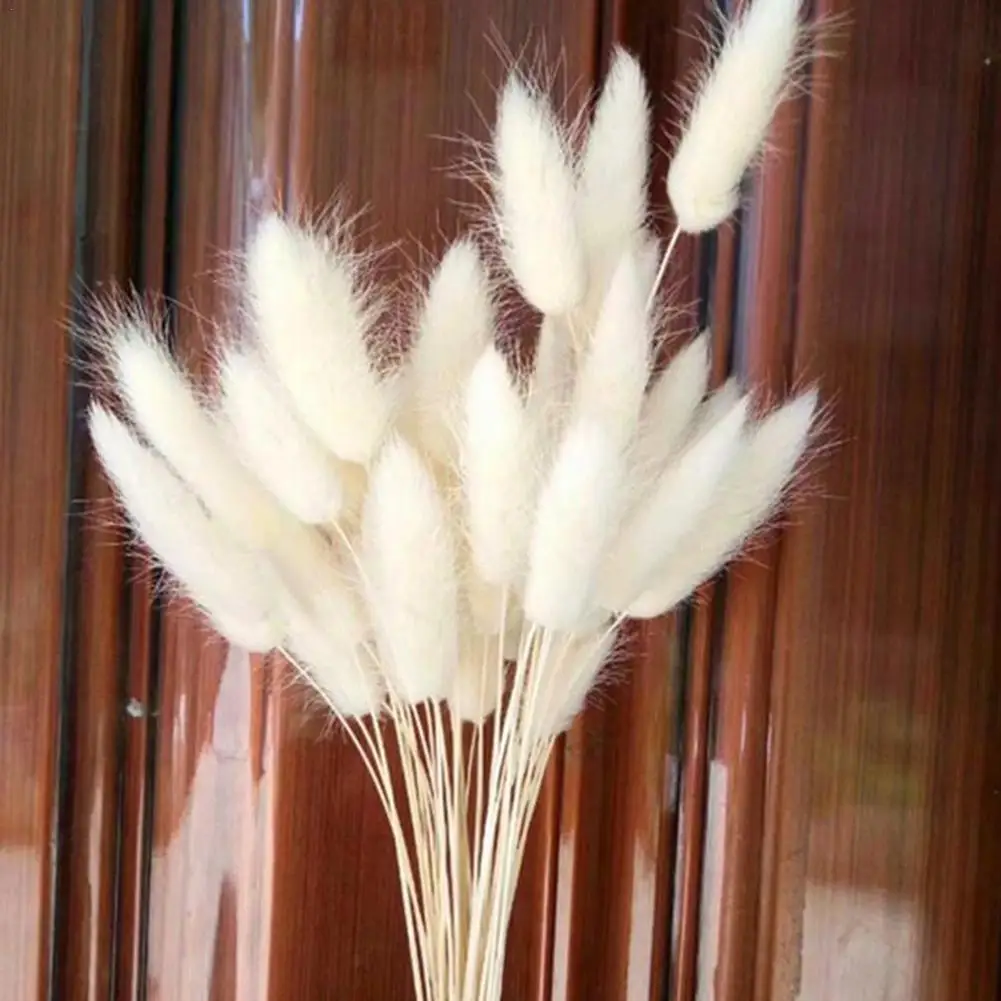 Natural Dried Rabbit Bunny Tail Grass Bunch Pampas Real Flower Bouquet For Photography Props Flores Diy Home Wedding Decor N0h8
Natural Dried Rabbit Bunny Tail Grass Bunch Pampas Real Flower Bouquet For Photography Props Flores Diy Home Wedding Decor N0h8