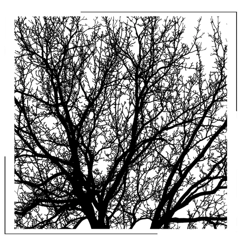 Branches Clear Stamps Scrapbooking Crafts Decorate Photo Album Embossing Cards Making Clear Stamps New
Branches Clear Stamps Scrapbooking Crafts Decorate Photo Album Embossing Cards Making Clear Stamps New