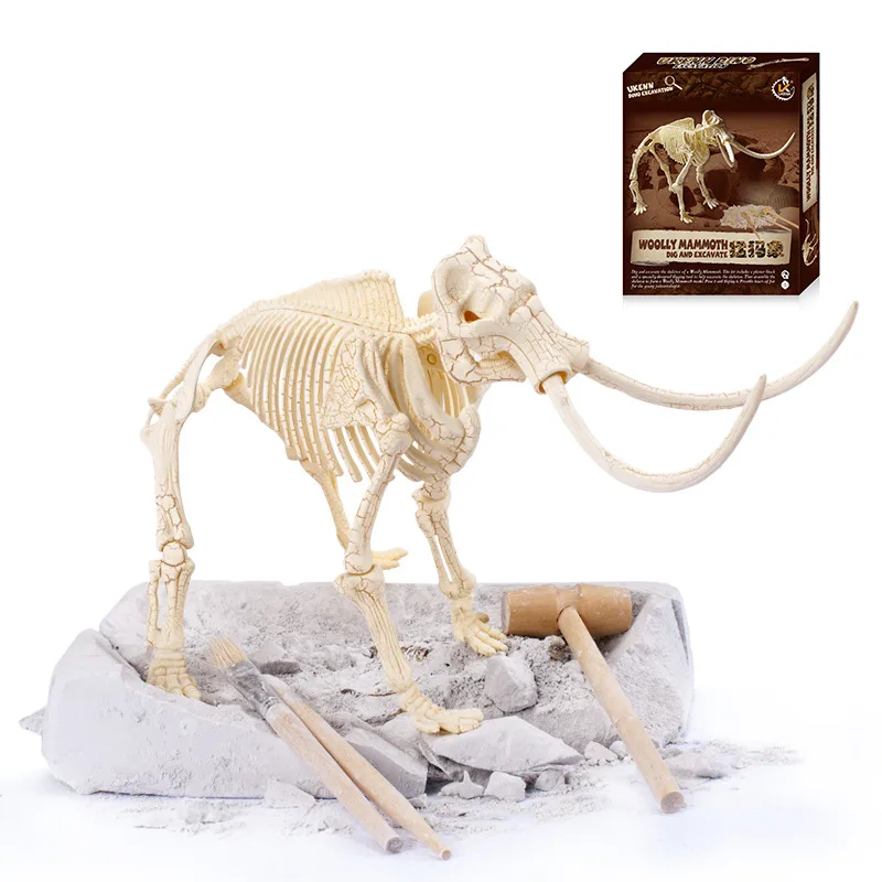 DIY моделирования археологических раскопок ископаемый скелет динозавра модель