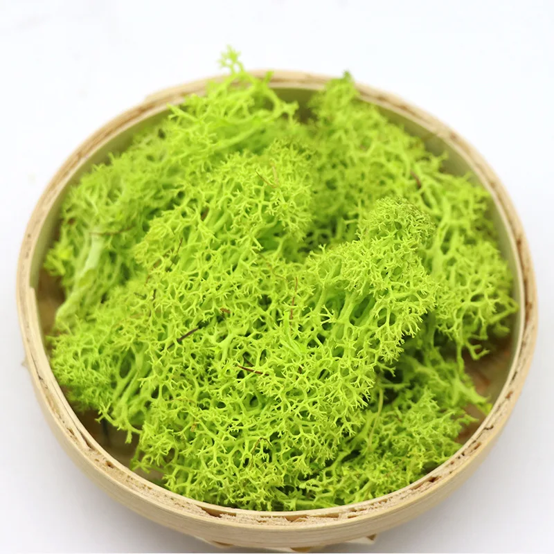 Artificial Green Plant Moss Grass High Quality Artificial Green Plant Immortal Fake Flower Home Living Room Decor Moss Grass
Artificial Green Plant Moss Grass High Quality Artificial Green Plant Immortal Fake Flower Home Living Room Decor Moss Grass