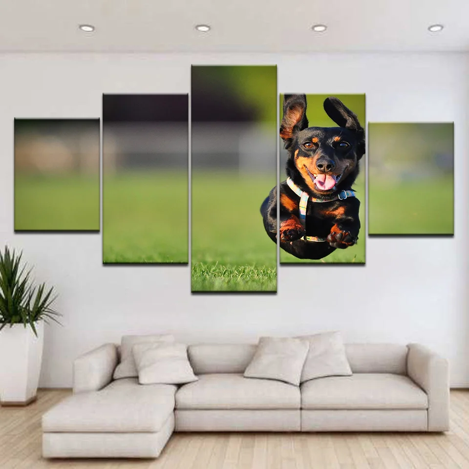Canvas Paintings 5 Pieces Black Cute Dog Poster Animal Pictures Dog Pictures Living Room Wall Art Picture Decor
Canvas Paintings 5 Pieces Black Cute Dog Poster Animal Pictures Dog Pictures Living Room Wall Art Picture Decor