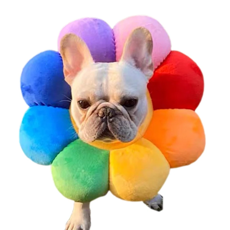 Pet Adjustable Recovery Collar Elizabethan Circle Protective Pet Cone Protective wholesales 
Pet Adjustable Recovery Collar Elizabethan Circle Protective Pet Cone Protective wholesales