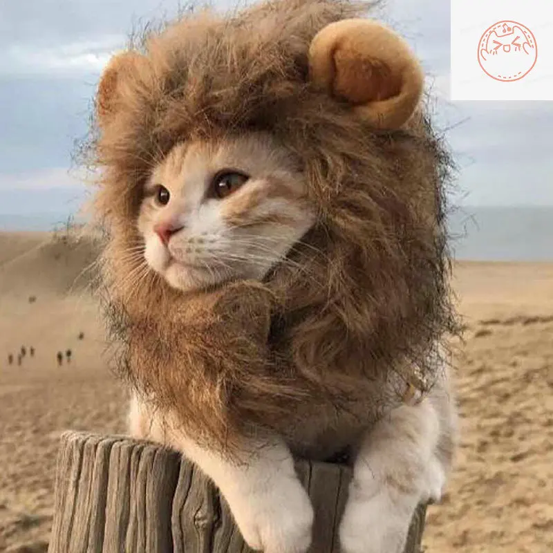 Disney cat headdress dress up cute puppet cat accessories funny pet lion cat headdress cat hairpin rubber band hair accessories
Disney cat headdress dress up cute puppet cat accessories funny pet lion cat headdress cat hairpin rubber band hair accessories