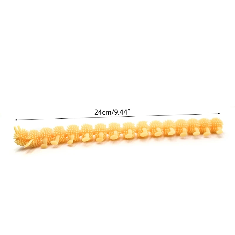 6PCS 16-section caterpillar vents and squeezes, relaxes the mood, a stress-relieving toy suitable for children over 3 years old
6PCS 16-section caterpillar vents and squeezes, relaxes the mood, a stress-relieving toy suitable for children over 3 years old