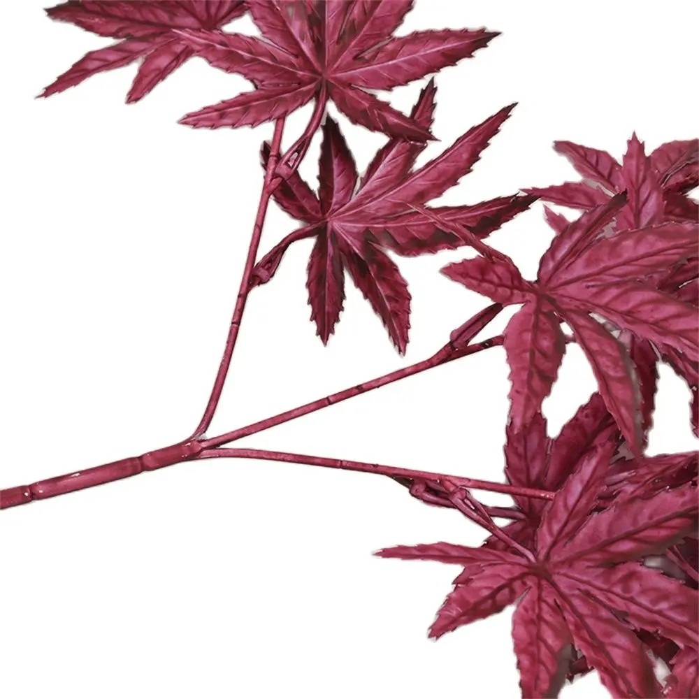 1 Bunch of Artificial Maple Leaves Fake Autumn Leaves Family Wedding Hotel DIY Outdoor Crafts Party Decoration Fall Decorations
1 Bunch of Artificial Maple Leaves Fake Autumn Leaves Family Wedding Hotel DIY Outdoor Crafts Party Decoration Fall Decorations