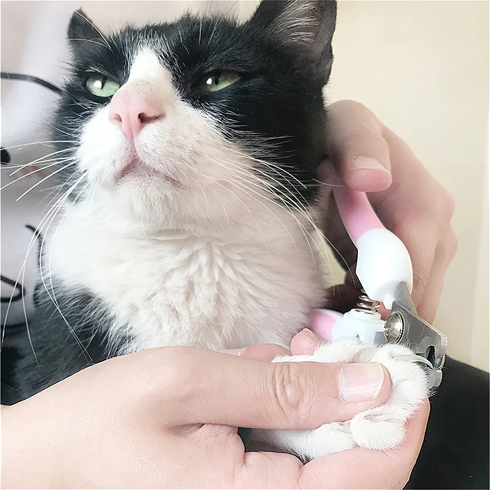 Professional Pet Nail Clippers Dog Cat Grooming Stainless Steel Two-Color Nail Clippers Convenient Beauty Cleaning Supply
Professional Pet Nail Clippers Dog Cat Grooming Stainless Steel Two-Color Nail Clippers Convenient Beauty Cleaning Supply