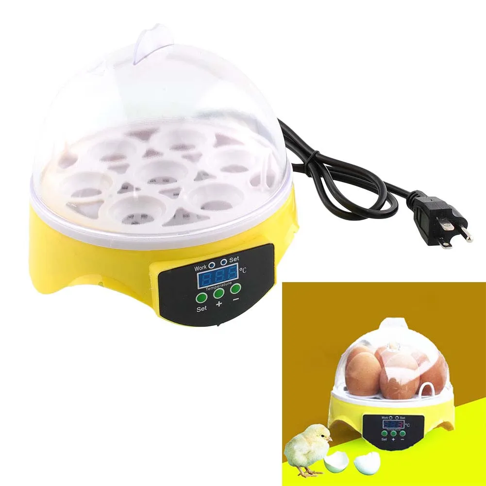 Egg Incubator Poultry Hatch Hatcher Eggs Digital Temperature Control Pet Supplies Chicken Clear Mini Automatic Goose Bird
Egg Incubator Poultry Hatch Hatcher Eggs Digital Temperature Control Pet Supplies Chicken Clear Mini Automatic Goose Bird