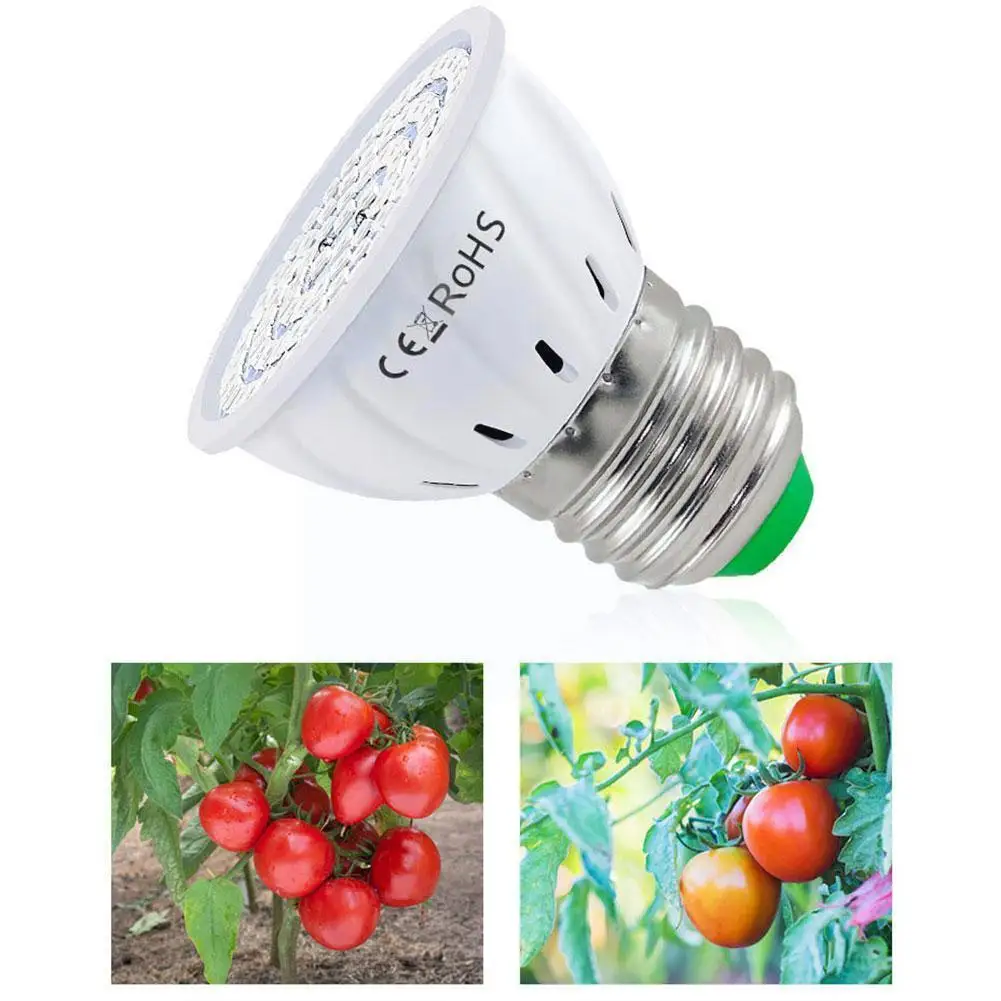 Led Grow Light Phytolamp For Plant Lamp E27 E14 MR16 Full Spectrum Greenhouse Flower Seeds LED Hydroponic Growth Light MR16 M8L7
Led Grow Light Phytolamp For Plant Lamp E27 E14 MR16 Full Spectrum Greenhouse Flower Seeds LED Hydroponic Growth Light MR16 M8L7