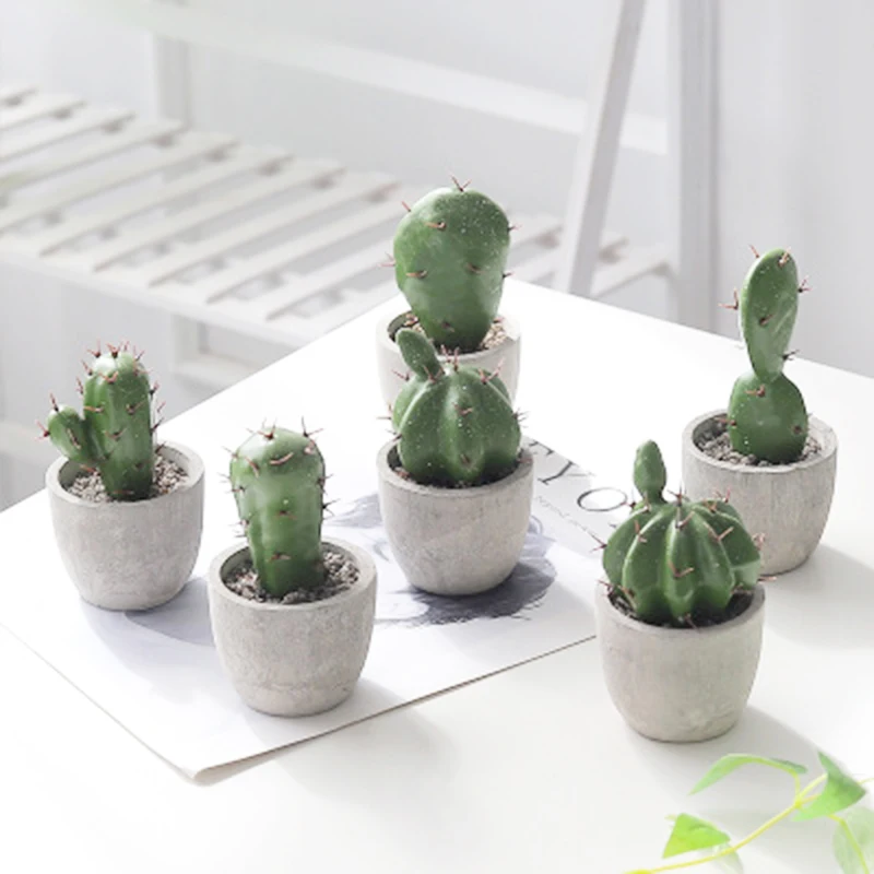 Cactus Pot Bonsai Plant Living Room Home Decoration Fake Flower Artificial Plants Plastic Cactus Ball Desktop Decorations
Cactus Pot Bonsai Plant Living Room Home Decoration Fake Flower Artificial Plants Plastic Cactus Ball Desktop Decorations