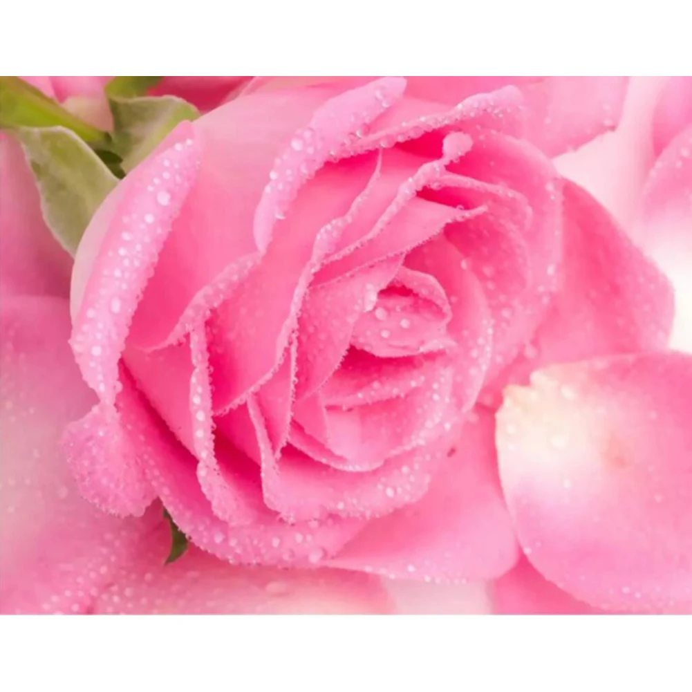 Eniref Diamond Painting 5D DIY Full Round Diamond Mosaic Art Picture Embroidery Cross stitch kits Home Decor Exquisite Gifts
Eniref Diamond Painting 5D DIY Full Round Diamond Mosaic Art Picture Embroidery Cross stitch kits Home Decor Exquisite Gifts