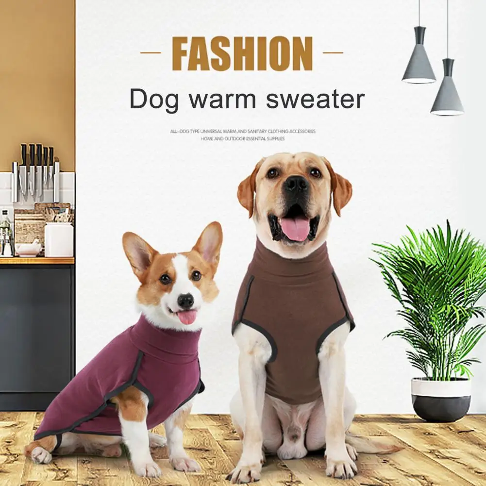 Sleeveless Stylish Puppy Warm Indoor Shirt Casual Puppy Knitwear High Collar for Small Medium Large Dogs
Sleeveless Stylish Puppy Warm Indoor Shirt Casual Puppy Knitwear High Collar for Small Medium Large Dogs
