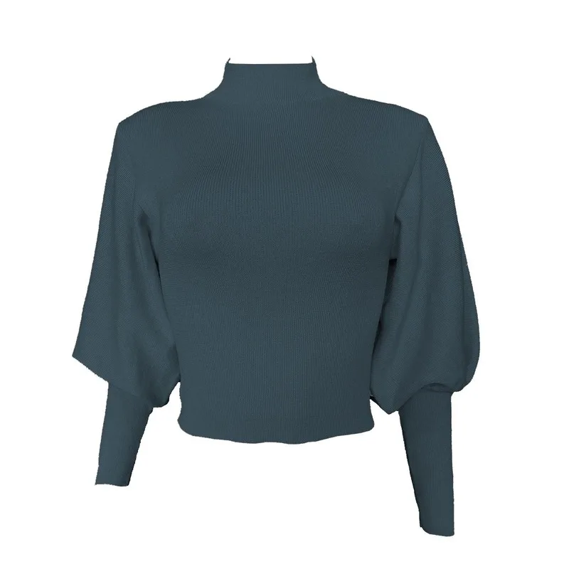 2020 autumn and winter new foreign style sweater women solid color explosion knit lantern sleeve pullover turtleneck sweater
2020 autumn and winter new foreign style sweater women solid color explosion knit lantern sleeve pullover turtleneck sweater