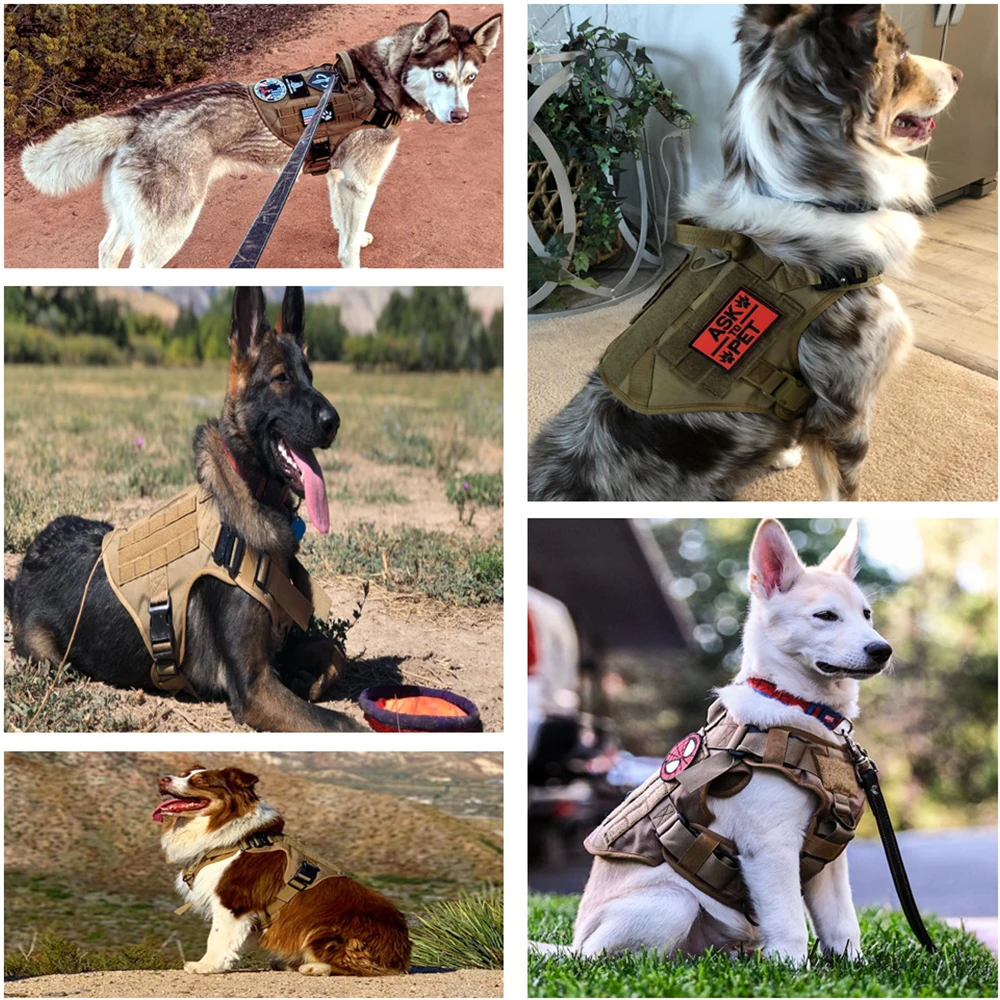 Military Tactical Dog Harness Pet Training Dog Vest Metal Buckle German Shepherd K9 Dog Harness and Leash For Small Large Dogs
Military Tactical Dog Harness Pet Training Dog Vest Metal Buckle German Shepherd K9 Dog Harness and Leash For Small Large Dogs