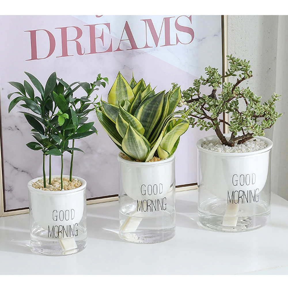 Potted Plant Ceramic Planter Lazy Planting Round Auto Irrigate Vase Trumpet Black Letters Watering Glass Absorbent Automatic
Potted Plant Ceramic Planter Lazy Planting Round Auto Irrigate Vase Trumpet Black Letters Watering Glass Absorbent Automatic