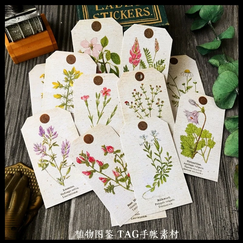12Pcs Scrapbooking Material Tim Holtz Style Plant Tag Junk Journal Ephemera Craft Paper Retro Leaf Label DIY Album Supplies
12Pcs Scrapbooking Material Tim Holtz Style Plant Tag Junk Journal Ephemera Craft Paper Retro Leaf Label DIY Album Supplies