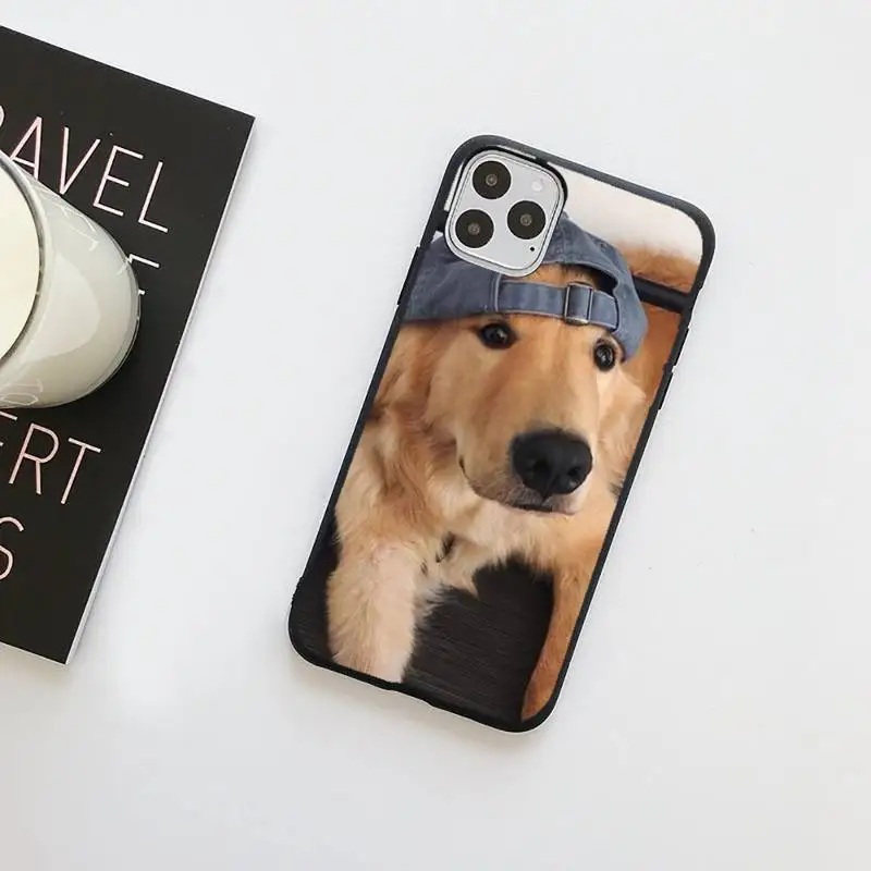Funny Golden retriever dog love pet Phone Case for iPhone 7 8 11 12 Pro X XS Max XR Samsung A S 10 20 50 Plus pro funda
Funny Golden retriever dog love pet Phone Case for iPhone 7 8 11 12 Pro X XS Max XR Samsung A S 10 20 50 Plus pro funda
