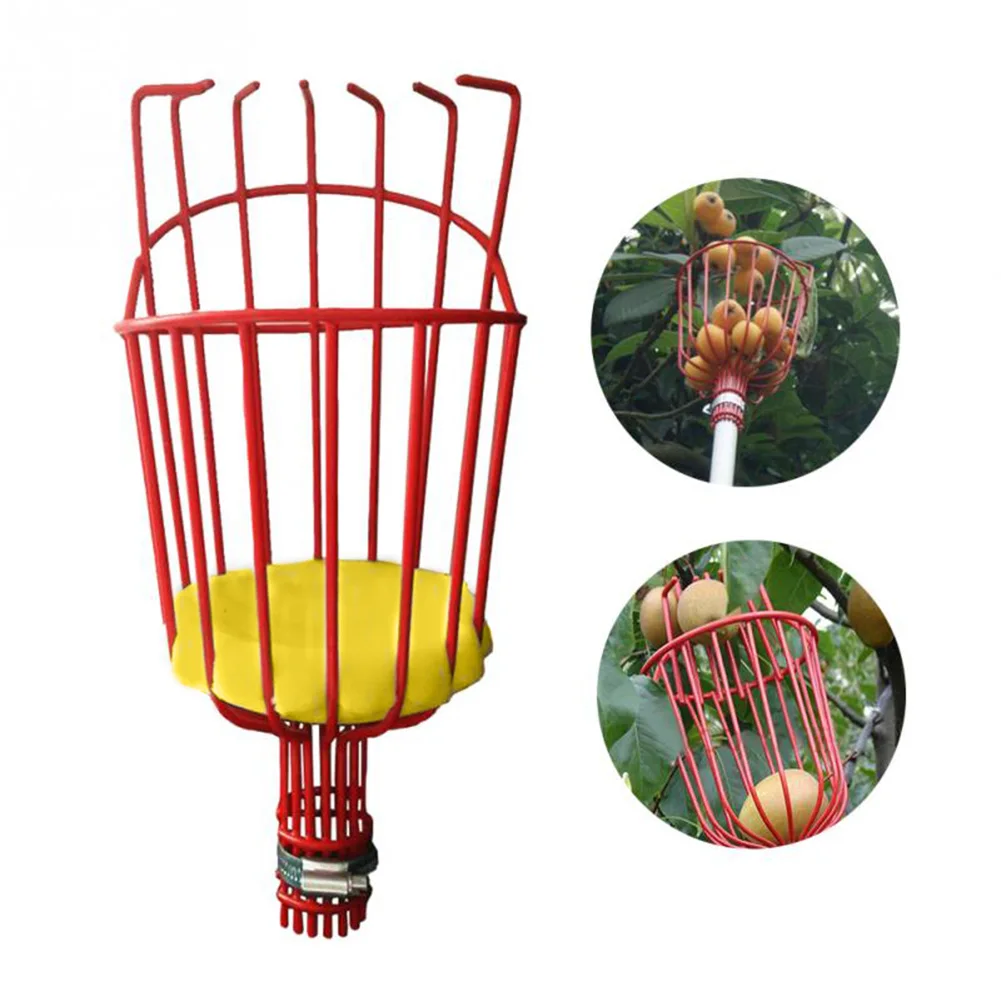 Outdoor Aluminum Deep Basket Garden Tools Fruit Picker Head Metal Fruit Picking Tools Fruits Catcher Harvest Picking
Outdoor Aluminum Deep Basket Garden Tools Fruit Picker Head Metal Fruit Picking Tools Fruits Catcher Harvest Picking