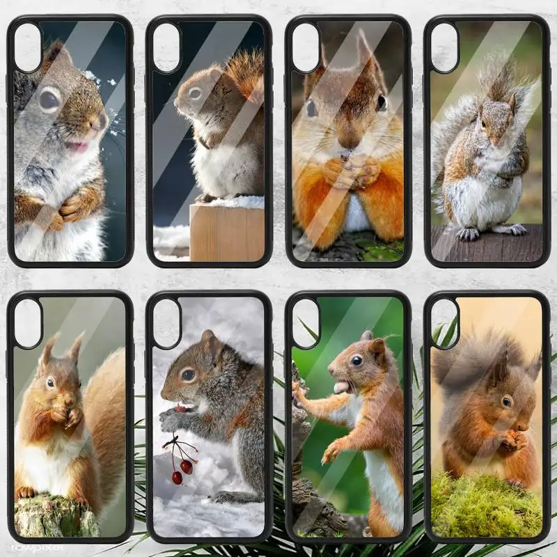 cute animal squirrel Phone Case PC for iPhone 11 12 pro XS MAX 8 7 6 6S Plus X 5S SE 2020 XR
cute animal squirrel Phone Case PC for iPhone 11 12 pro XS MAX 8 7 6 6S Plus X 5S SE 2020 XR
