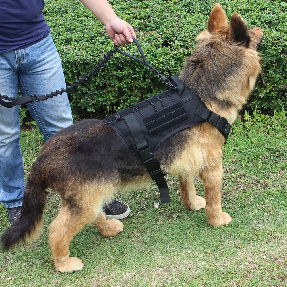 Tactical Pet Dog Harness K9 Working Dog Collar Vest With Handle Dog Leash Lead Training For Medium Large Dogs German Shepherd
Tactical Pet Dog Harness K9 Working Dog Collar Vest With Handle Dog Leash Lead Training For Medium Large Dogs German Shepherd