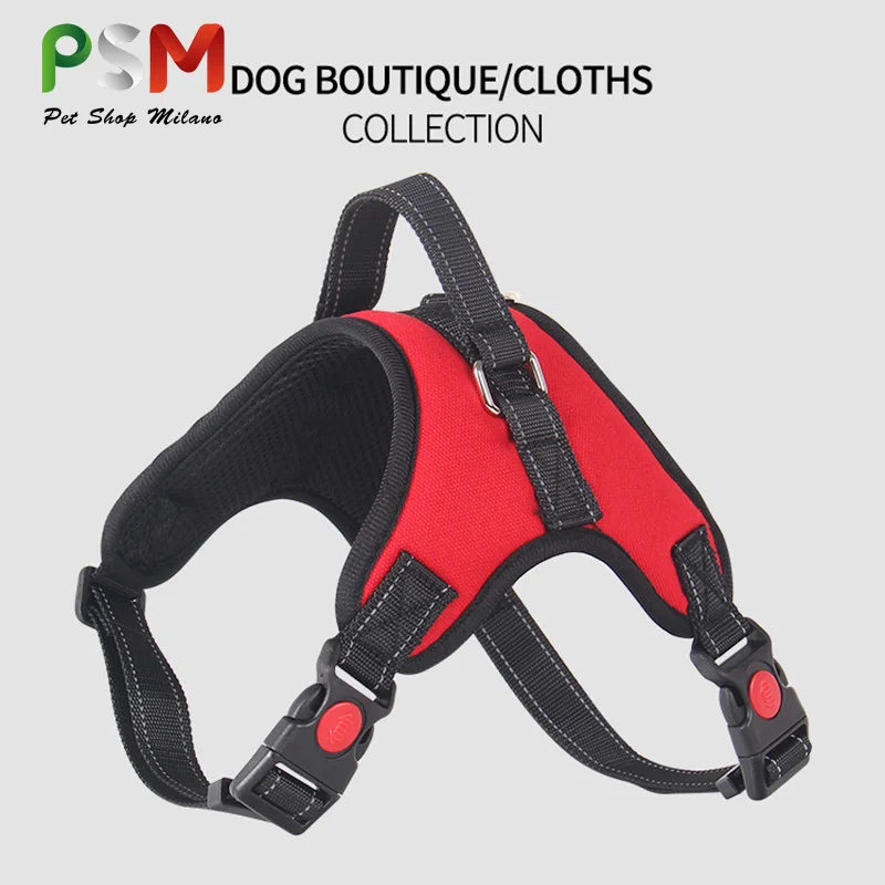 dog leash dog harness and leash set 
dog leash dog harness and leash set