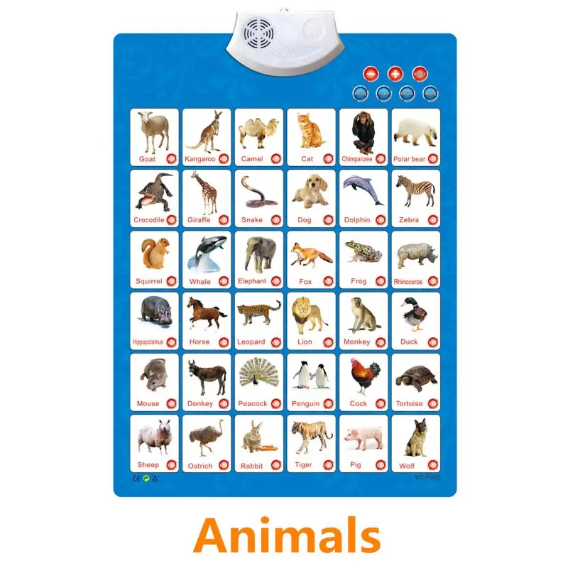 Electronic Interactive Alphabet Wall Chart, Talking ABC & 123s & Music Poster New
Electronic Interactive Alphabet Wall Chart, Talking ABC & 123s & Music Poster New