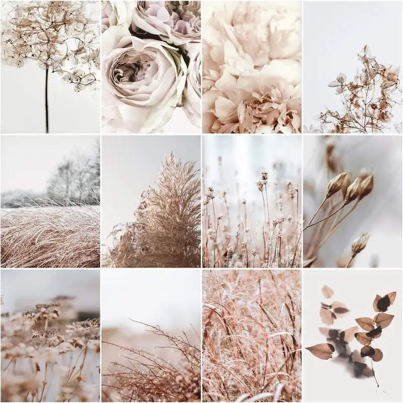 CHENISTORY 60x75cm Frame Picture Painting By Numbers Kits Plant Flowers Acrylic Wall Art Home Decors Coloring By Numbers Diy Gif 
CHENISTORY 60x75cm Frame Picture Painting By Numbers Kits Plant Flowers Acrylic Wall Art Home Decors Coloring By Numbers Diy Gif