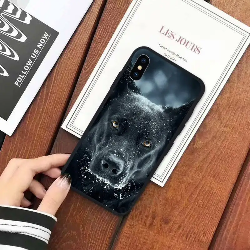 Horror dog animal Phone Case for iPhone 11 12 mini pro XS MAX 8 7 6 6S Plus X 5S SE 2020 XR
Horror dog animal Phone Case for iPhone 11 12 mini pro XS MAX 8 7 6 6S Plus X 5S SE 2020 XR