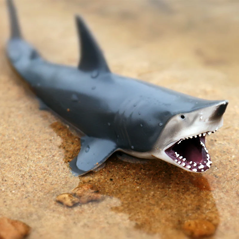 20 cm Sharks Toys Figure Ocean Marine World Animal Sea Life Shark Action Figure Collection Animal Model Dolls For Children Gift
20 cm Sharks Toys Figure Ocean Marine World Animal Sea Life Shark Action Figure Collection Animal Model Dolls For Children Gift