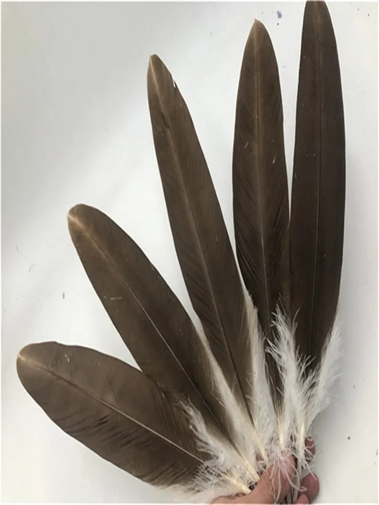 10pcs-100pcs rare natural eagle feathers 35-40 cm/14-16 inch celebration decoration jewelry accessories stage performance diy
10pcs-100pcs rare natural eagle feathers 35-40 cm/14-16 inch celebration decoration jewelry accessories stage performance diy