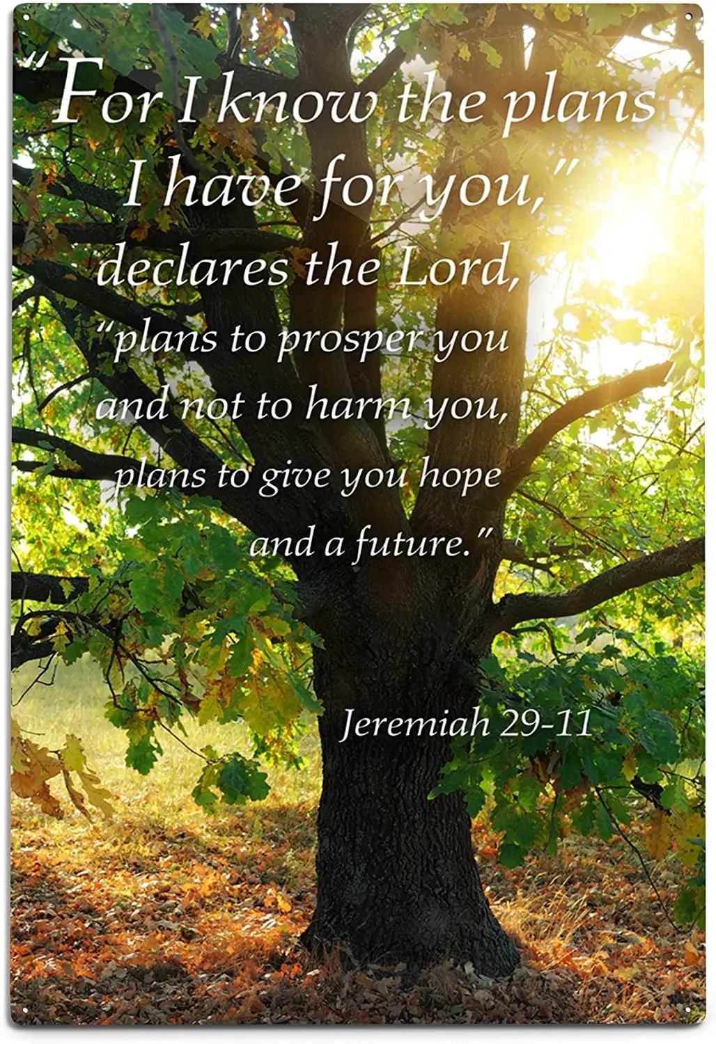 Lantern Press Jeremiah , Inspirational 47111 (12x16 Aluminum Wall Sign, Metal Wall Decor)
Lantern Press Jeremiah , Inspirational 47111 (12x16 Aluminum Wall Sign, Metal Wall Decor)