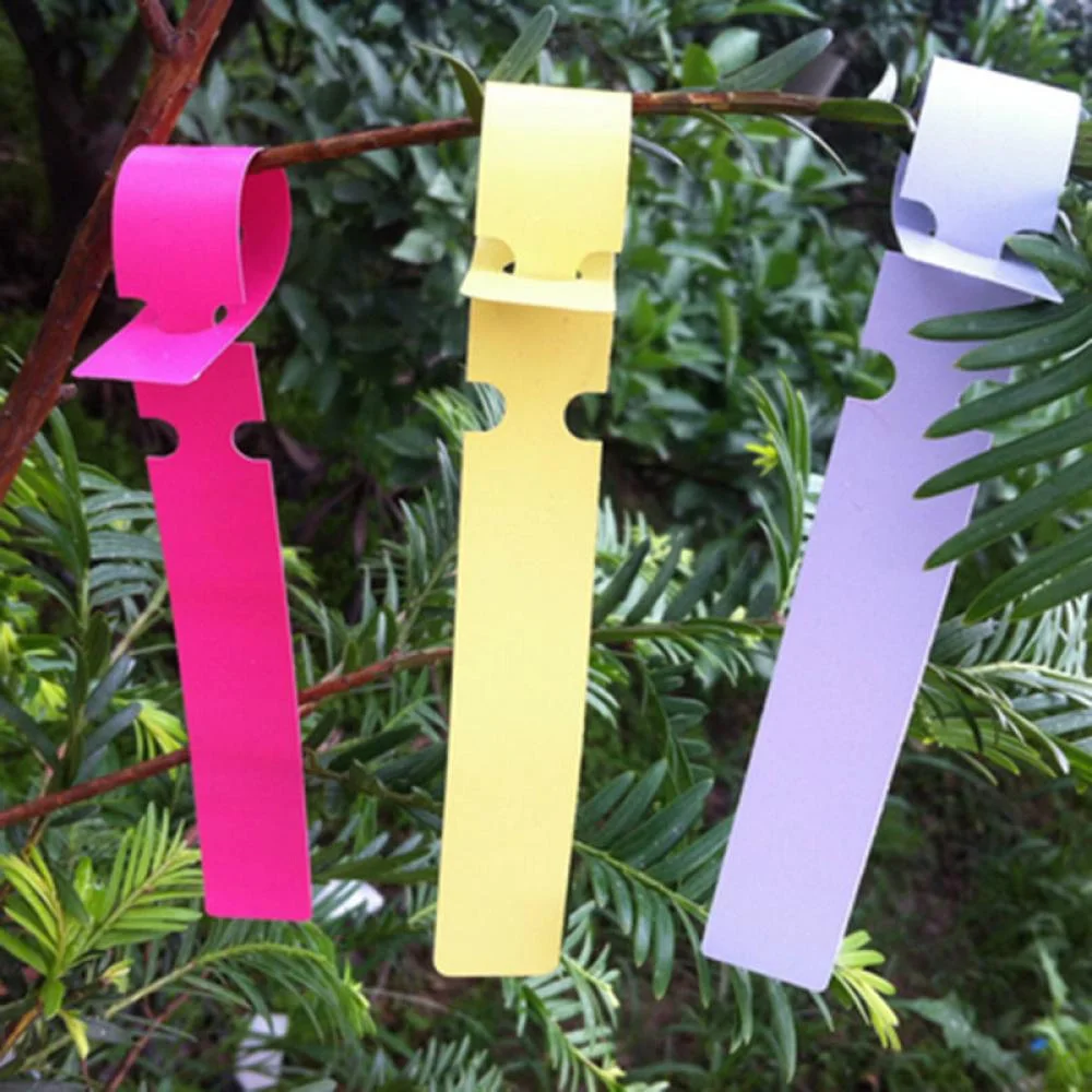 100 PCS Plastic Plant Marker Waterproof Reusable Adjustable Nursery Garden Labels Plant Tags For Flower Vegetables
100 PCS Plastic Plant Marker Waterproof Reusable Adjustable Nursery Garden Labels Plant Tags For Flower Vegetables