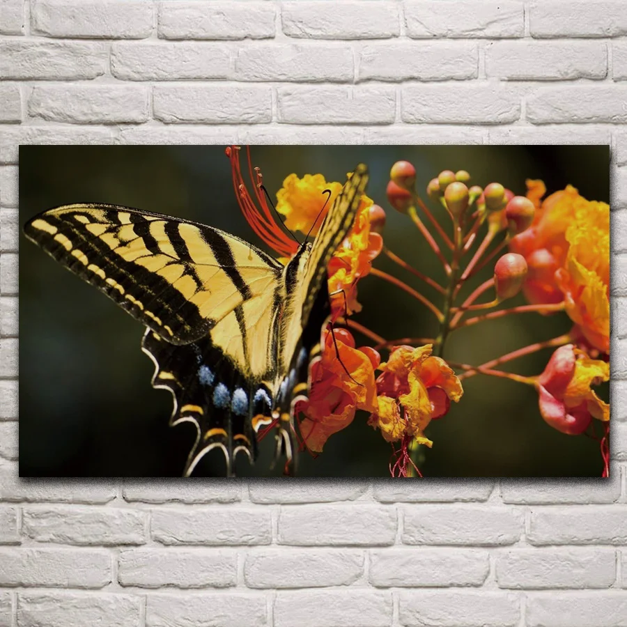 Colorful butterfly insect flowers spring nature landscape fabric posters on wall picture home art living room decoration KP279
Colorful butterfly insect flowers spring nature landscape fabric posters on wall picture home art living room decoration KP279